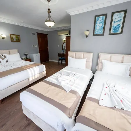 Hotell Basileus Istanbul