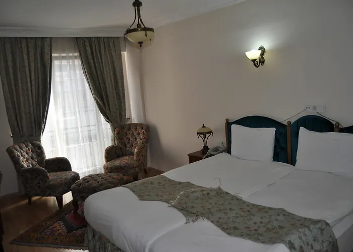 Basileus Hotel Provincia di Istanbul